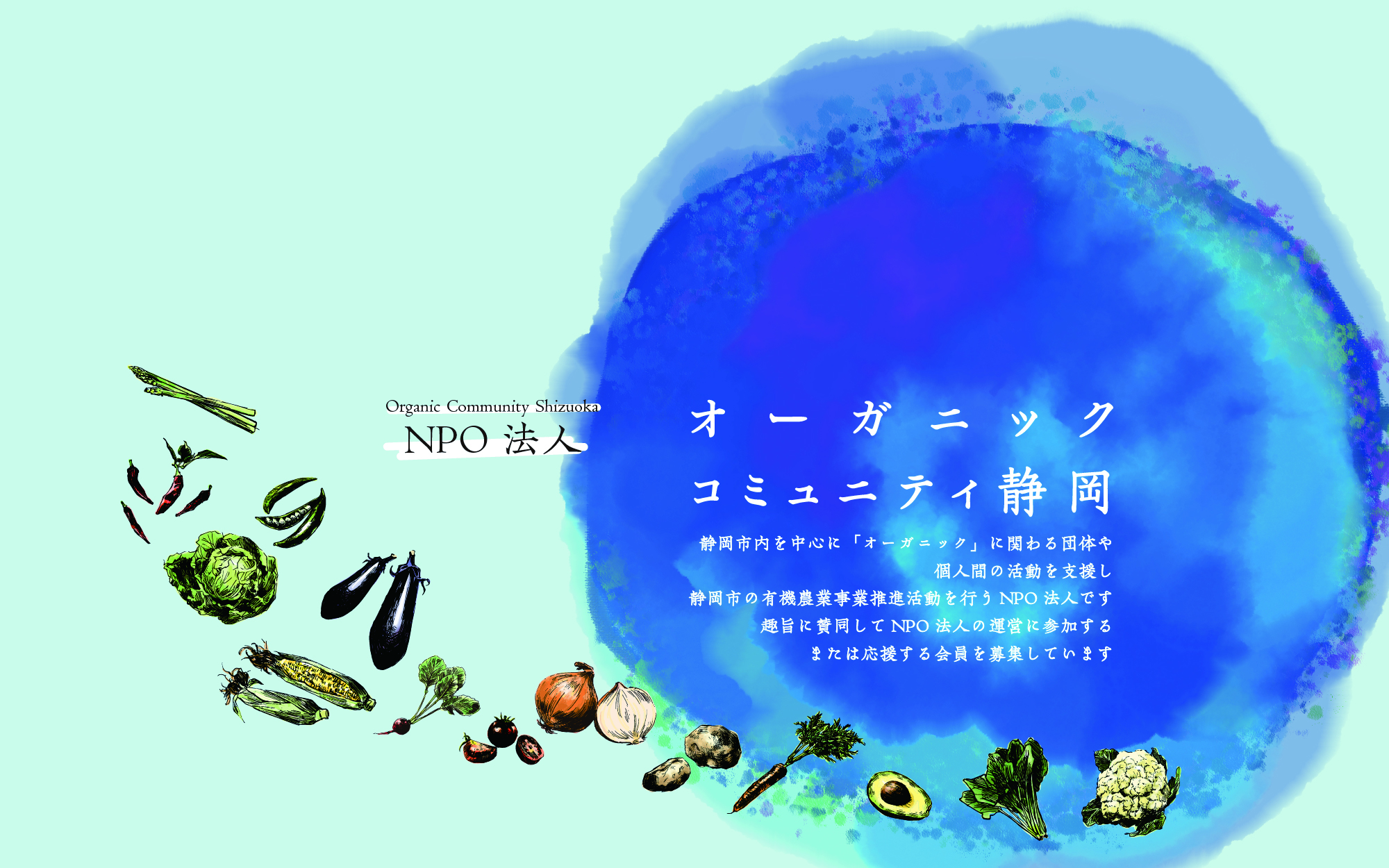 トップページ
