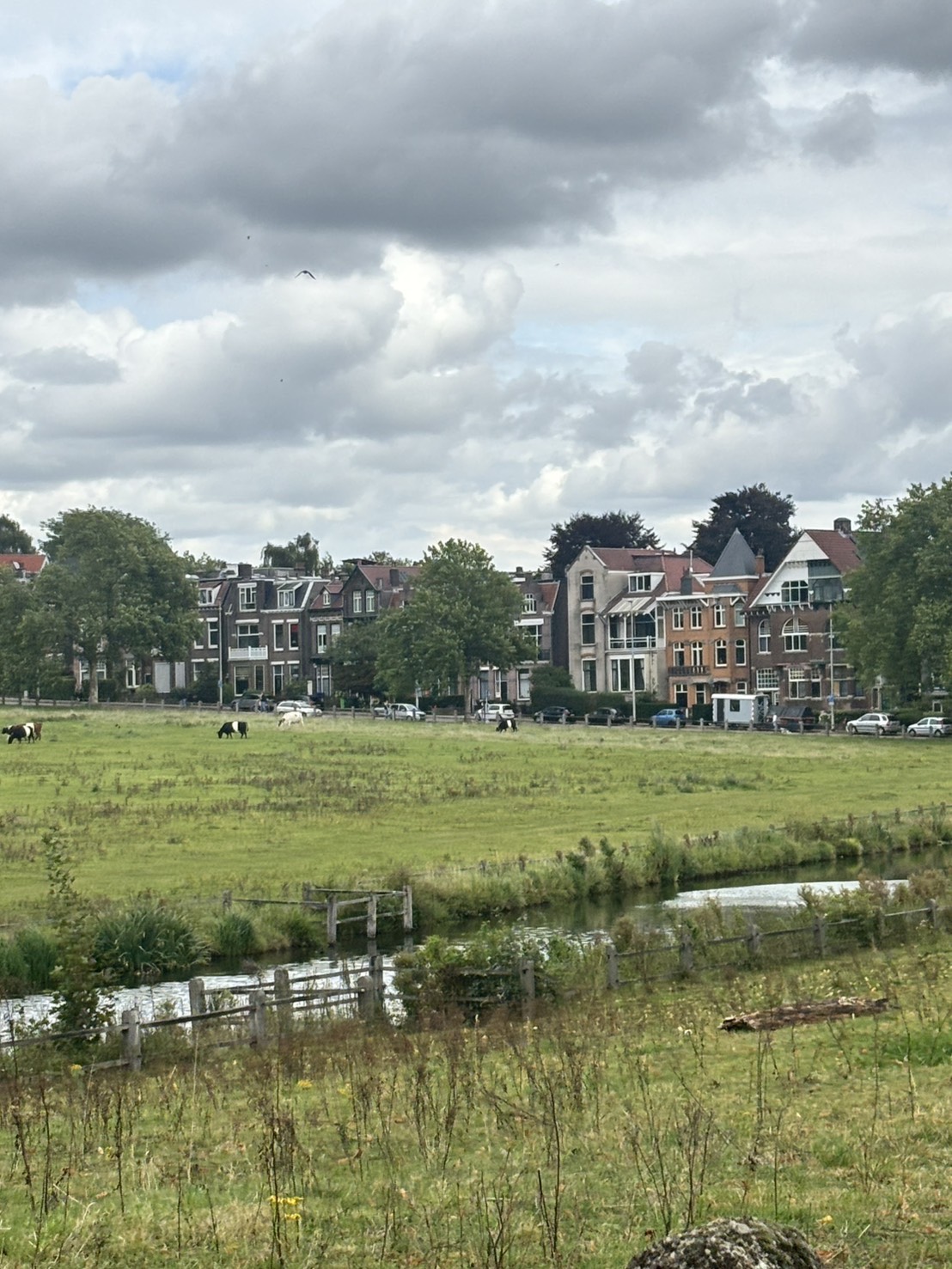 静岡の未来につながる、GraanGelukの物語